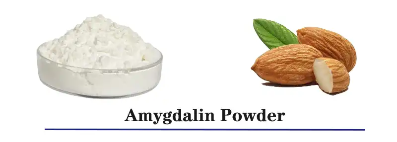 Amygdalin Powder.jpg